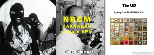 ПСИЛОЦИБИНОВЫЕ ГРИБЫ Арсеньев