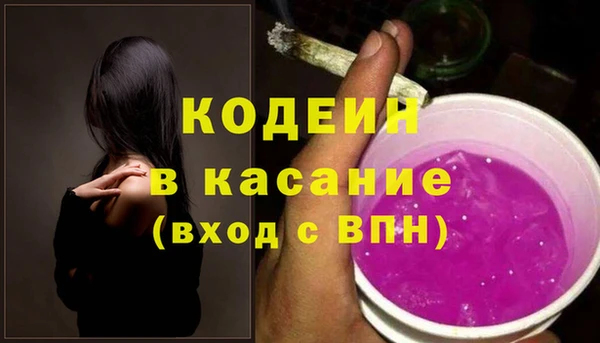 ПСИЛОЦИБИНОВЫЕ ГРИБЫ Арсеньев