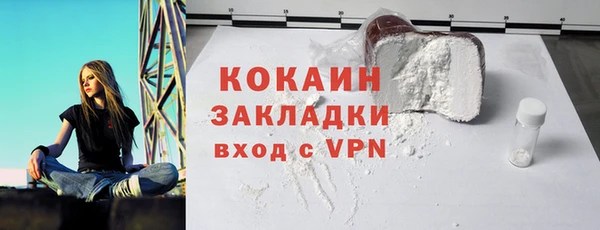 ПСИЛОЦИБИНОВЫЕ ГРИБЫ Арсеньев