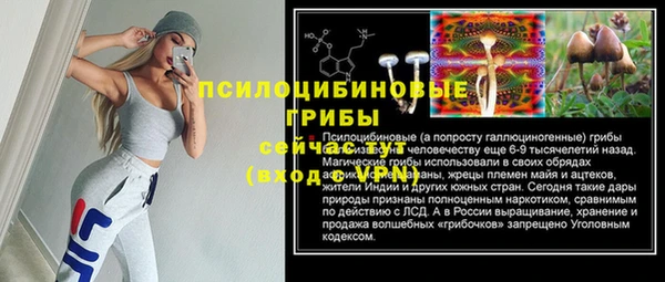 ПСИЛОЦИБИНОВЫЕ ГРИБЫ Арсеньев