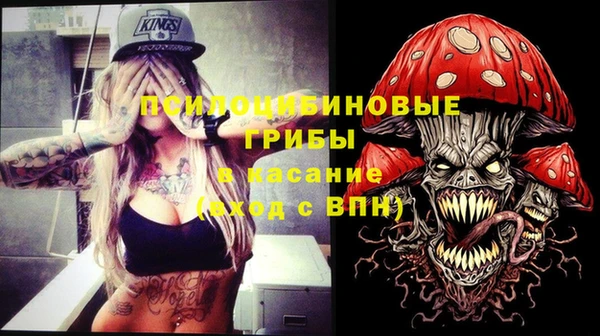 ПСИЛОЦИБИНОВЫЕ ГРИБЫ Арсеньев