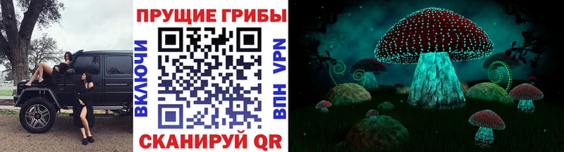Псилоцибиновые грибы Psilocybine cubensis  как найти закладки  Георгиевск 